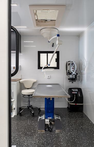 Referenzprojekt: Mobile Tierarztpraxis von RKBGamo